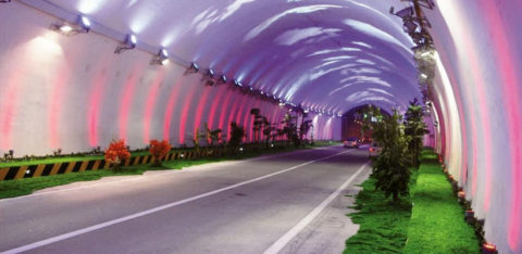 Impresivni dugački tunel ima veštačko drveće i cveće